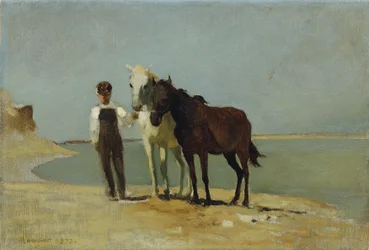 En pojke med hästar på stranden