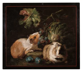 Romersk mikromosaikpanel föreställande två marsvin som äter kål och vindruvor, 1800-25