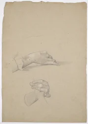 Handstudier