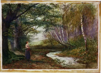 Burnham Beeches, höst