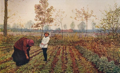 Violfältet, 1867, omkring 1915