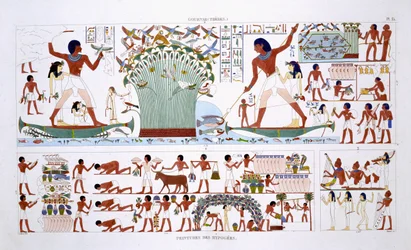 Preparing food for Dead, från en sällsynt uppteckning av fresker från Thebe, inspelad 1819-1822 vid hans andra besök i Egypten av Frederic Cailliaud (1787-1869), färg litho
