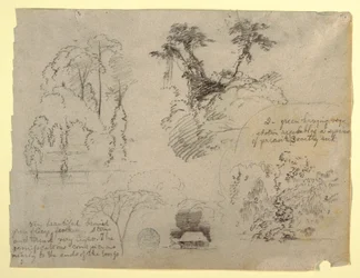 Botaniska studier och ett hus, troligen från Colombia