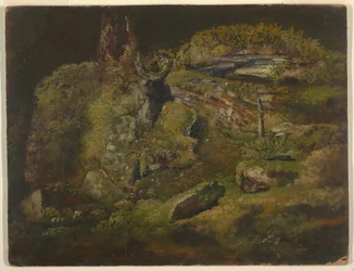 Boulder i skogen