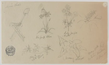 Stol och blommande växter, Baalbek