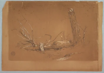 Teckning, Ett brutet dött träd, 1855-65