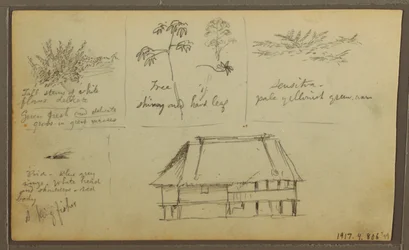 Teckning, Ett fort; Verso: Botaniska skisser, Hus, 1857