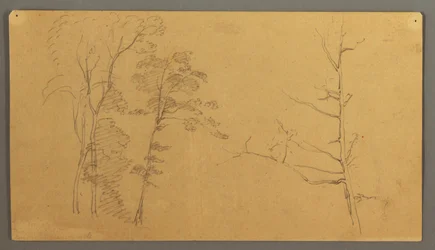 Teckning, En grupp träd med övre delen av ett dött träd, 1866