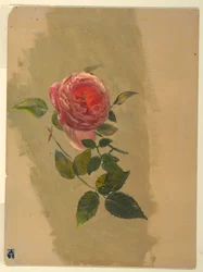 Teckning, En rosengren, 1860-70