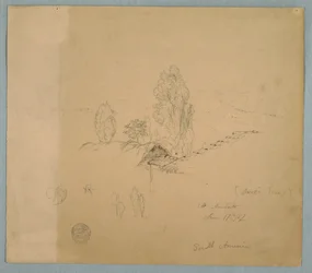 Teckning, Ett halmtak och ett tegeltak med trädtoppar i ett bergigt landskap nära Chimborazo, Ambato, Ecuador, 17 juni 1857