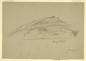 Teckning, Ett träd, Bayern, 8 augusti 1868