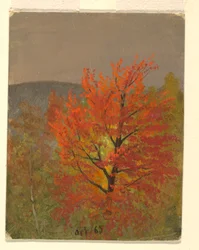 Teckning, Höstlandskap (Vermont), 1865-70