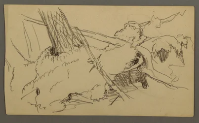 Teckning, Bas av träd, stenblock, möjligen 1877