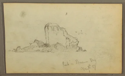 Teckning, Bireds, "Rock in Panama Bay"; Verso: "Heavy Vines", 15 maj 1857
