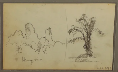 Teckning, Bireds, "Rock in Panama Bay"; Verso: "Heavy Vines", 15 maj 1857