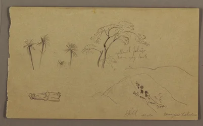 Teckning, Botaniska skisser, figur, maj-augusti 1865