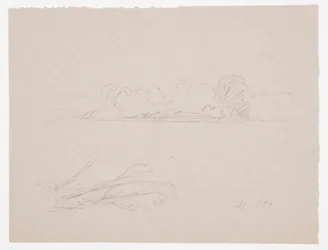 Teckning, Botaniska skisser: landskap, träd vid en strand, september 1876
