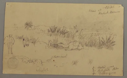 Teckning, Kameler dricker på en kulle, 22 februari, möjligen 1868
