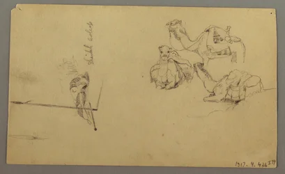 Teckning, Kameler dricker på en kulle, 22 februari, möjligen 1868