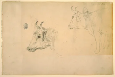 Teckning, boskap, september 1844