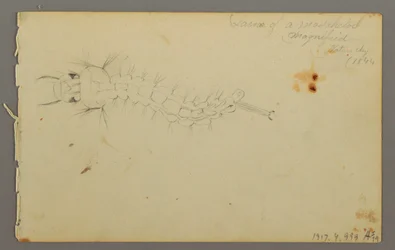 Teckning, Molnstudie, 1844