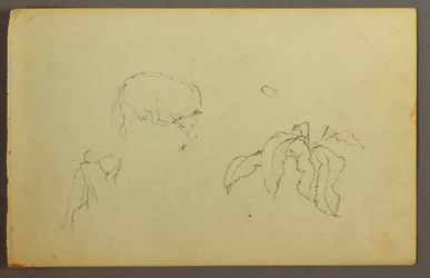 Teckning, Ko kliar sig på huvudet, bladväxt, möjligen 1844