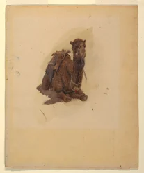 Teckning, Hukande dromedar, 1868