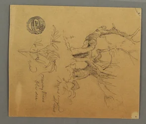 Teckning, Döda träd, Växt, möjligen 1868