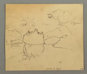 Teckning, Döda träd, Växt, möjligen 1868