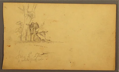 Teckning, Åsnor, 2 juni 1857