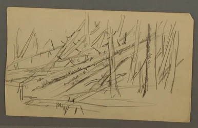 Teckning, Nedfallna träd, möjligen 1877