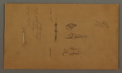 Teckning, Figurstudier, Figur i båt, Fisk, möjligen 1868