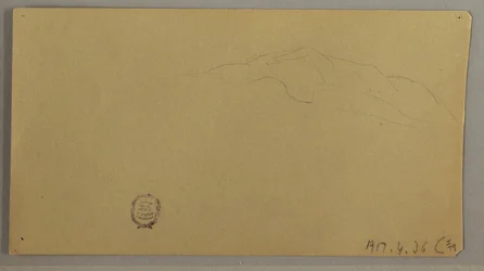 Teckning, blommande växter, ca 1856
