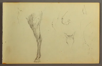 Teckning, Häststudier, möjligen 1844