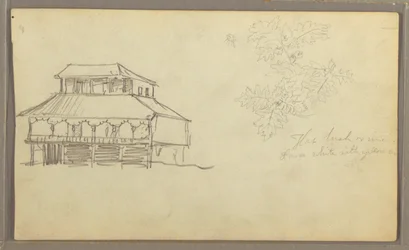 Teckning, Hus, Botanisk skiss, Ecuador eller Colombia, 1857