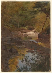 Teckning, I skogarna i New England, 1855-65