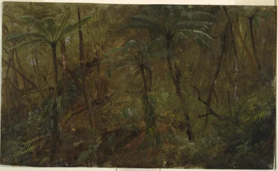 Teckning, I skogen i Jamacia, Västindien, 1865