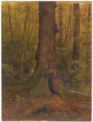 Teckning, I skogen, troligen Maine, 1850-60