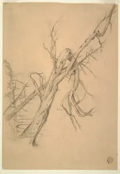 Teckning, indianläger, Grand Manan, Fundybukten, september 1851