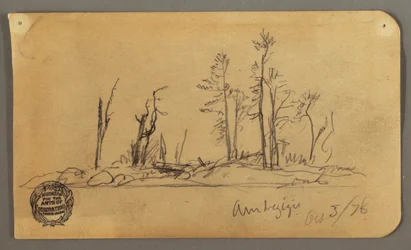 Teckning, Island, 1878