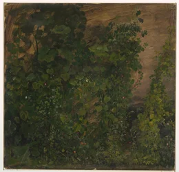 Ritning, djungelvegetation, 1865