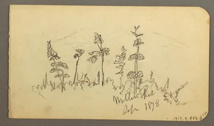Teckning, sjö med utsikt mot Mt. Katahdin, 1878