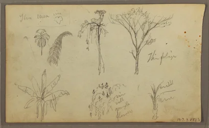 Teckning, Landskap, Guayaquil, Ecuador, 21 maj 1857