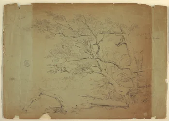 Teckning, Landskap med träd och en bäck [], Grand Manan Island, Kanada, september 1851