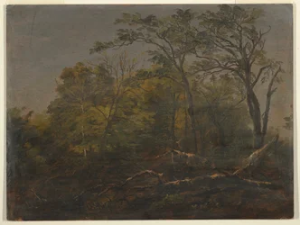 Teckning, Maine Woods, 1845-55