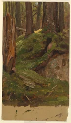 Teckning, Maine  skog, 1855-65