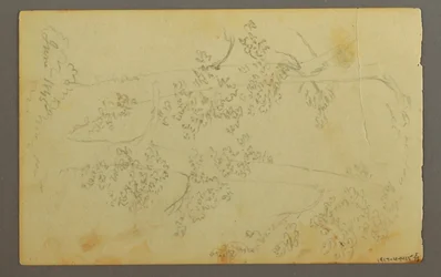 Ritning, kvarn omgiven av träd, 1845