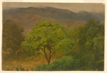 Teckning, Bergslandskap, augusti 1865