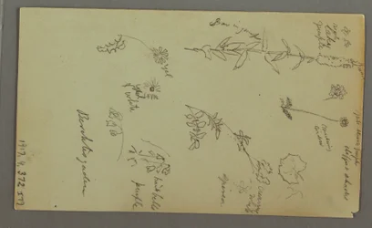 Teckning, Bergsstudie, möjligen 1868