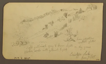Teckning, Berg, Zapotlan; Verso: Trädbevuxen sluttning, Cuitzeosjön, januari 1885